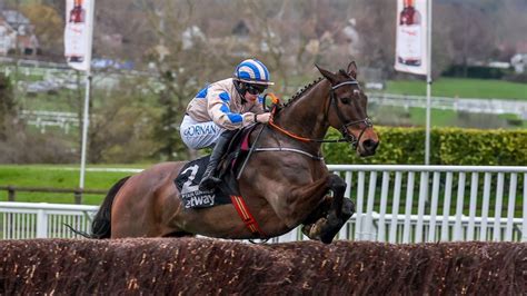 champion chase 2024|CAPTAIN GUINNESS lands incident.